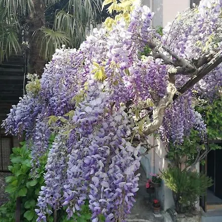 Apartment Ca' Dei Corti *
